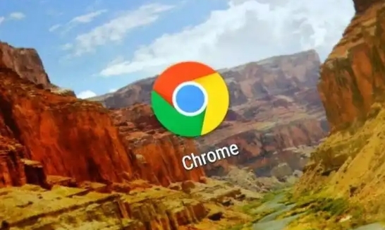 如何使用Google Chrome优化多媒体内容加载速度