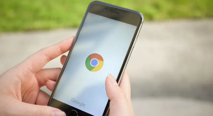 Google Chrome下载安装完成但设置无效的修复方法1