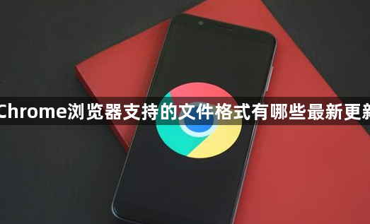Chrome浏览器支持的文件格式有哪些最新更新1