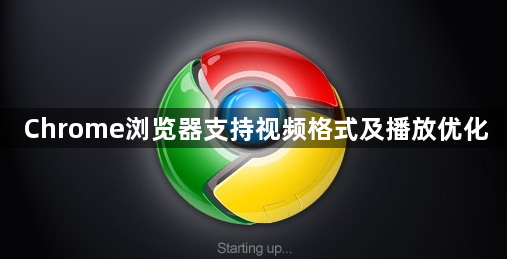 Chrome浏览器支持视频格式及播放优化1