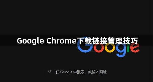 Google Chrome下载链接管理技巧1