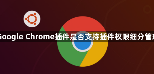 Google Chrome插件是否支持插件权限细分管理1