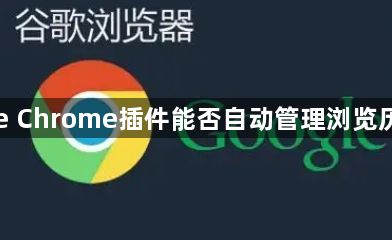 Google Chrome插件能否自动管理浏览历史记录1