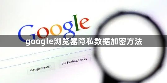 google浏览器隐私数据加密方法1