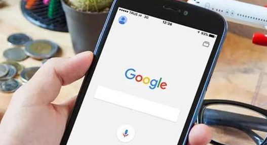 Chrome浏览器安装包离线激活方法1