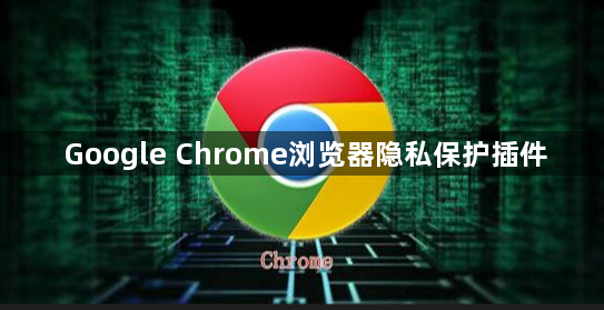 Google Chrome浏览器隐私保护插件1