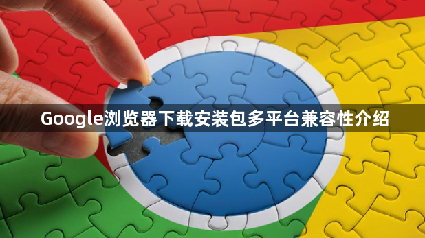 Google浏览器下载安装包多平台兼容性介绍1