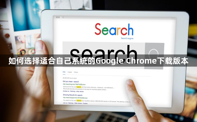 如何选择适合自己系统的Google Chrome下载版本1