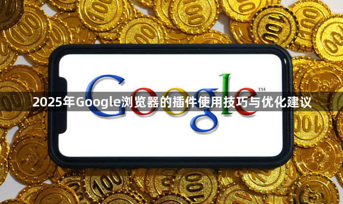 2025年Google浏览器的插件使用技巧与优化建议1