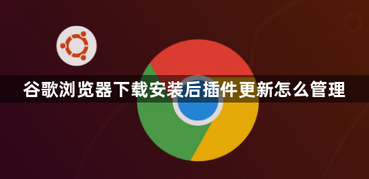 谷歌浏览器下载安装后插件更新怎么管理1