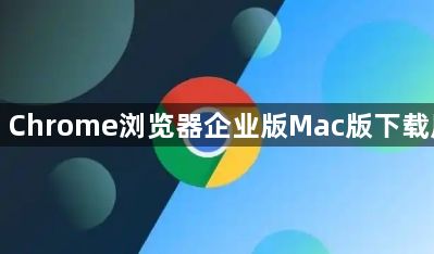 Google Chrome浏览器企业版Mac版下载风险控制1