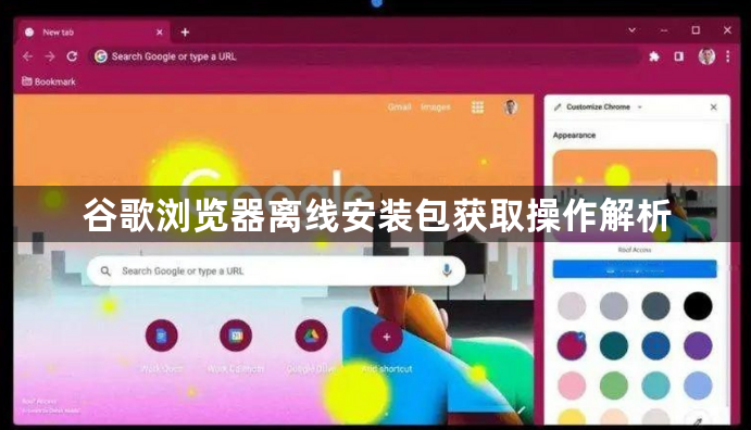 谷歌浏览器离线安装包获取操作解析1