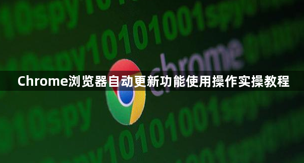 Chrome浏览器自动更新功能使用操作实操教程1