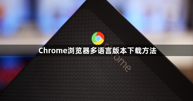 Chrome浏览器多语言版本下载方法1