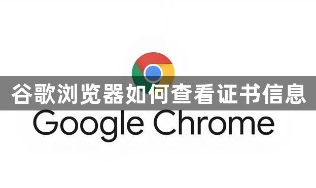 谷歌浏览器如何查看证书信息1