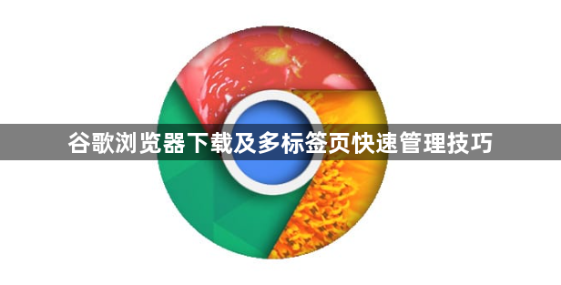 谷歌浏览器下载及多标签页快速管理技巧1