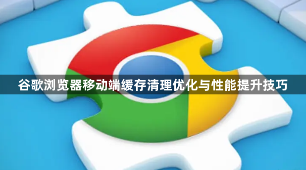 谷歌浏览器移动端缓存清理优化与性能提升技巧1