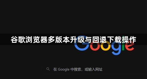 谷歌浏览器多版本升级与回退下载操作1
