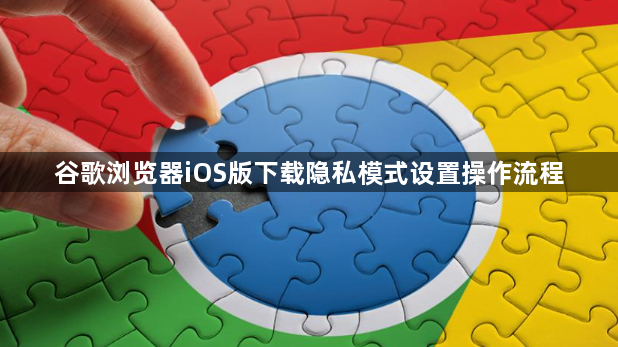 谷歌浏览器iOS版下载隐私模式设置操作流程1