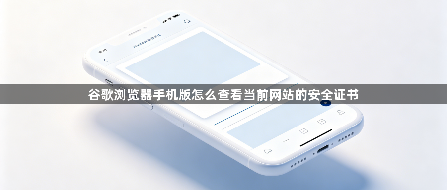 谷歌浏览器手机版怎么查看当前网站的安全证书1