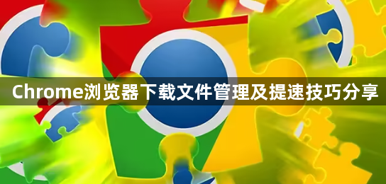 Chrome浏览器下载文件管理及提速技巧分享1