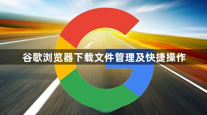 谷歌浏览器下载文件管理及快捷操作1