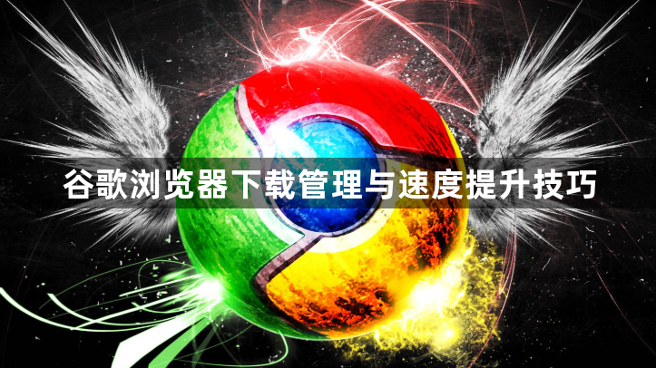 谷歌浏览器下载管理与速度提升技巧1
