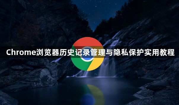 Chrome浏览器历史记录管理与隐私保护实用教程1